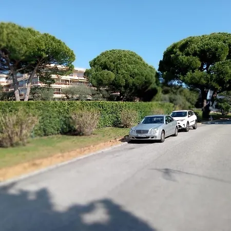 Avec Vue A Apartament